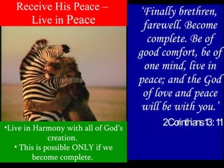 Intercede in Love Intercede with Hope Intercede that His Peace will reign over all the earth.  Pray for all  – bring them into His presence.  