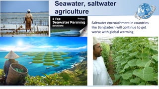 Seawater, saltwater
agriculture
Saltwater encroachment in countries
like Bangladesh will continue to get
worse with global warming
 