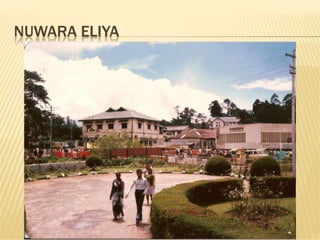 Peace corps sri lanka use this one