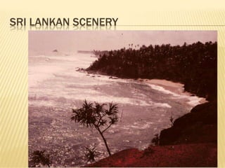 Peace corps sri lanka use this one