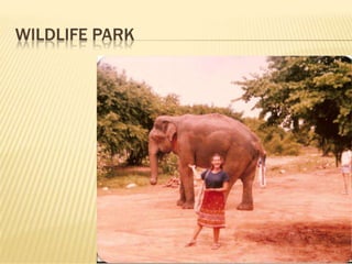 Peace corps sri lanka use this one