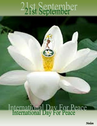 Peace day spl