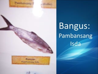 Bangus:  Pambansang Isda 