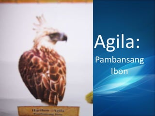 Agila:  Pambansang Ibon 
