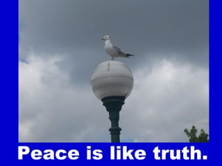 Peace is like truth.
 