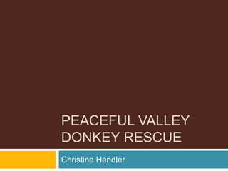 PEACEFUL VALLEY
DONKEY RESCUE
Christine Hendler
 