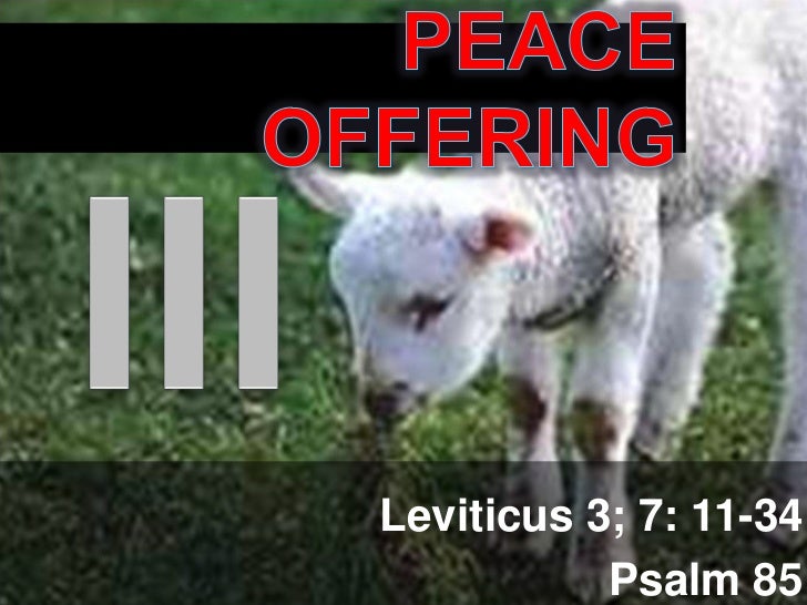 The Offerings The Peace Offering