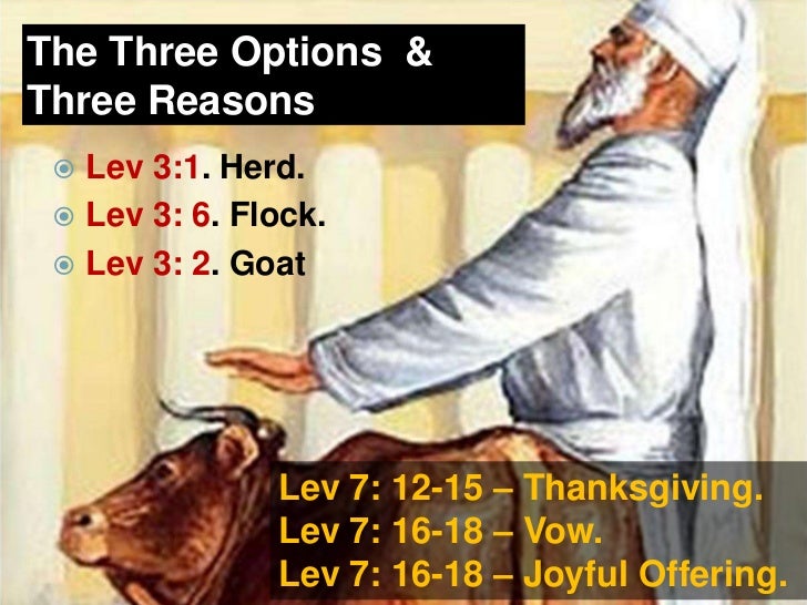 The Offerings The Peace Offering