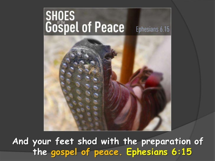 The Offerings The Peace Offering