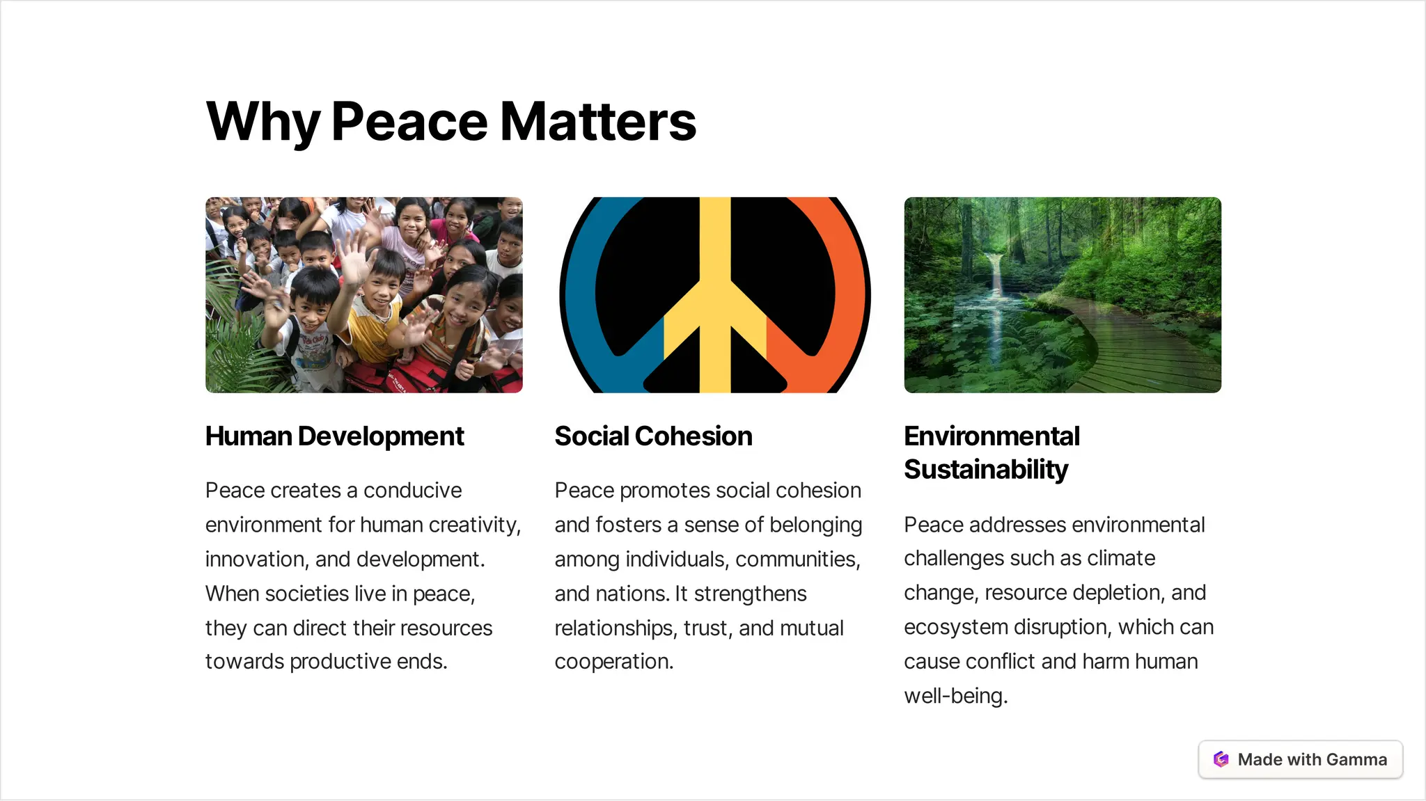 Peace Orders in Maryland.pdf