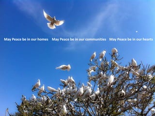 May Peace be in our homes May Peace be in our communities May Peace be in our hearts

 