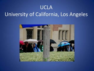 UCLA
University of California, Los Angeles

 