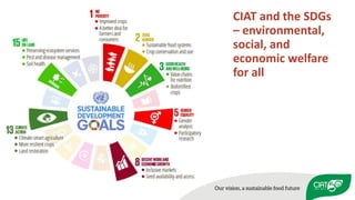 Peace, Rural Development, and Prosperity through agriculture research for development 