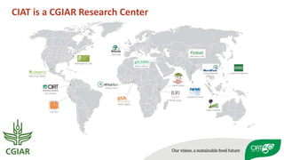 Peace, Rural Development, and Prosperity through agriculture research for development 
