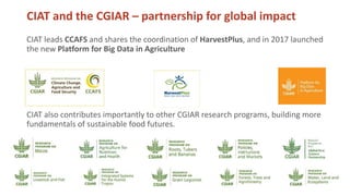 Peace, Rural Development, and Prosperity through agriculture research for development 