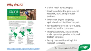 Peace, Rural Development, and Prosperity through agriculture research for development 