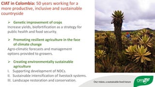 Peace, Rural Development, and Prosperity through agriculture research for development 