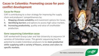 Peace, Rural Development, and Prosperity through agriculture research for development 