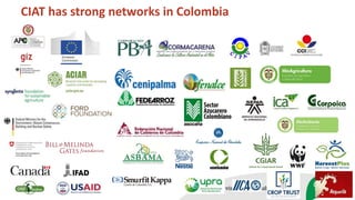 Peace, Rural Development, and Prosperity through agriculture research for development 