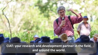 Peace, Rural Development, and Prosperity through agriculture research for development 