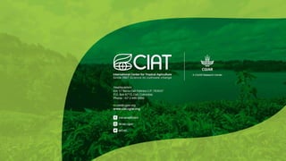 Peace, Rural Development, and Prosperity through agriculture research for development 