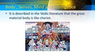 Body , Senses, Mind and Intelligence
• It is described in the Vedic literature that the gross
material body is like chariot.
 
