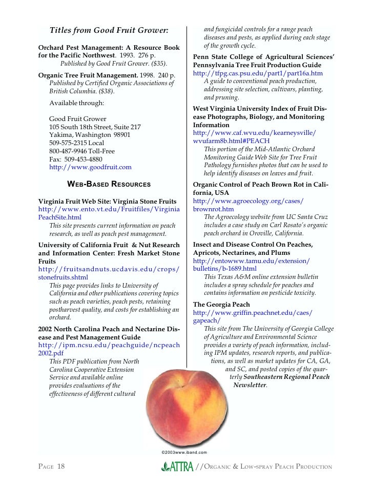 Organic and Low-Spray Peach Production