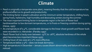 Climate
• Peach is originally a temperate-zone plant, meaning thereby that the cold temperature has
profound effect on its growth and productivity.
• The limiting factor in peach cultivation are the minimum winter temperaturs, chilling hours,
spring frosts, hailstroms, high humidity and dessicating winters during the summer.
• The most important limiting factor in temperate region is the lack of flower bud
hardinesseither to low dormant temperatures, or to frosts or freezing condition during spring.
(Hesse, 1975)
• At a temperature of 0.4°C, considerable damage to the linear shoot growth and flower buds
were recorded in cv. Alexander. (Pandey 1997)
• Peach flower bud is hardy even between -23°C to -26°C, absolute hardiness of the whole
plant becomes less important (Hesse 1975)
• Chilling housr of 700-1000 at 7.2°C more effective.
• Temperature below 2-3°C – does not break dormancy.
• High temperature in December – January causes bloom abnormality and failure of fruit set is
noticed.
 