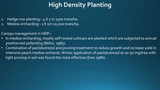 High Density Planting
1. Hedge row planting:- 4 X 1 m 2500 tress/ha.
2. Medow orcharding:- 1 X 1m 10,000 trees/ha.
Canopy management in HDP:-
• In medow orcharding, mostly self rooted cultivars are planted which are subjected to annual
postharvest pollarding (Belini, 1985).
• Combination of paclobutrezol and pruning treatment to reduce growth and increase yield in
intensive peach medow orchards.Winter application of paclobutrezol at 20-50 mg/tree with
light pruning in soil was found the most effective (Erez 1986).
 
