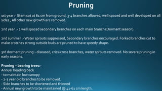 Pruning
1st year :- Stem cut at 61 cm from ground, 3-4 branches allowed, well spaced and well developed on all
sides.,All other new growth are removed.
2nd year :- 2 well spaced secondary branches on each main branch (Dormant season).
2nd summer :-Water sprouts suppressed, Secondary branches encouraged. Forked branches cut to
make crotches strong outside buds are pruned to have speedy shape.
3rd dormant pruning:- diseased, criss-cross branches, water sprouts removed. No severe pruning in
early seasons.
Pruning – bearing trees:-
Annual heading back
- to maintain low canopy
- 2-3 year old branches to be removed.
- Side branches to be shortened and thinned
- Annual new growth to be maintained @ 41-61 cm length.
 