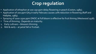Crop regulation
• Application of ethephon at 100-250 ppm delay flowering in peach (Coston, 1985).
• Application of 200 ppm GA3 in early February causes 20% reduction in flowering (Raff and
Hallpike, 1983).
• Spraying of 1000-2500 ppm DNOC at full bloom is effective for fruit thining (Westwood 1978).
• Time of thinning : Depends on maturity.
1. Early cultivars – blossom thinning.
2. Mid & early – at petal fall or fruitset.
 
