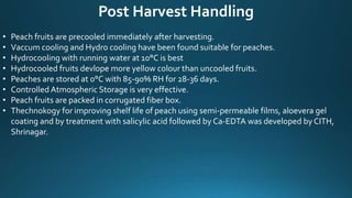 Post Harvest Handling
• Peach fruits are precooled immediately after harvesting.
• Vaccum cooling and Hydro cooling have been found suitable for peaches.
• Hydrocooling with running water at 10°C is best
• Hydrocooled fruits devlope more yellow colour than uncooled fruits.
• Peaches are stored at 0°C with 85-90% RH for 28-36 days.
• Controlled Atmospheric Storage is very effective.
• Peach fruits are packed in corrugated fiber box.
• Thechnokogy for improving shelf life of peach using semi-permeable films, aloevera gel
coating and by treatment with salicylic acid followed by Ca-EDTA was developed by CITH,
Shrinagar.
 