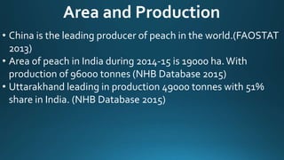 Area and Production
• China is the leading producer of peach in the world.(FAOSTAT
2013)
• Area of peach in India during 2014-15 is 19000 ha.With
production of 96000 tonnes (NHB Database 2015)
• Uttarakhand leading in production 49000 tonnes with 51%
share in India. (NHB Database 2015)
 