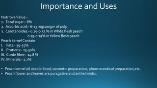 Importance and Uses
NutritiveValue:-
1. Total sugar:- 8%
2. Ascorbic acid:- 6-13 mg/100gm of pulp
3. Carotenoides:- 0.19-0.53 % inWhite flesh peach
0.75-0.79% inYellow flesh peach
Peach kernel Contain
I. Fats:- 39-55%
II. Protiens:- 23-30%
III. Curde fiber:- 14.8 %
IV. Minerals:- 2.7%
• Peach kernel oil used in food, cosmetic preparation, pharmaceutical preparation,etc.
• Peach flower and leaves are puragative and anthelmintic.
 