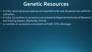 Genetic Resources
• In India, about 36 prunus species are reported so far and 18 species are useful for
cultivation.
• In India, 63 varieties or accessions are present at Regional Horticultural Research
andTraining Station, Mashorba, Shimla.
• 12 varieties or accessions are present at ICAR- CITH, Shrinagar.
 