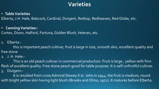 Varieties
• TableVarieties
Elberta, J.H. Hale, Babcock, Cardinal, Dixigem, Redtop, Redheaven, Red Globe, etc.
• CanningVarieties:-
Cortex, Dixon, Halford, Fortuna, Golden Blush,Veteran, etc.
1. Elberta:-
this is important peach cultivar, fruit is large in size, smooth skin, excellent quality and
free stone
2. J. H. Hale:-
This is an old peach cultivar in commercial production. Fruit is large , yellow with firm
flesh of excellent quality. Free stone peach good for table purpose. It is self-unfruitful cultivar.
3. Dixigem:-
It is resulted from cross Admiral Dewey X st. John in 1944. the fruit is medium, round
with bright yellow skin having light blush (Brooks and Olmo, 1972). It matures before Elberta.
 