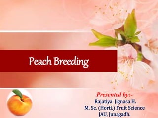 PeachBreeding
1
Presented by:-
Rajatiya Jignasa H.
M. Sc. (Horti.) Fruit Science
JAU, Junagadh.
 