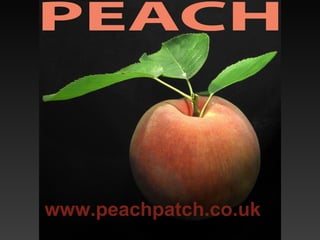 www.peachpatch.co.uk
 