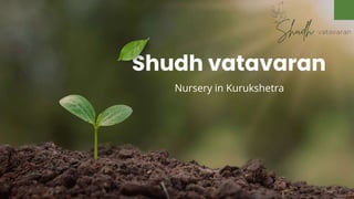 Shudh vatavaran
Nursery in Kurukshetra
 