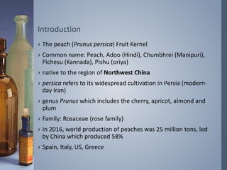 Peach kernel oil