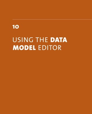 10 
Using The dAtA 
model eDiTor 
 