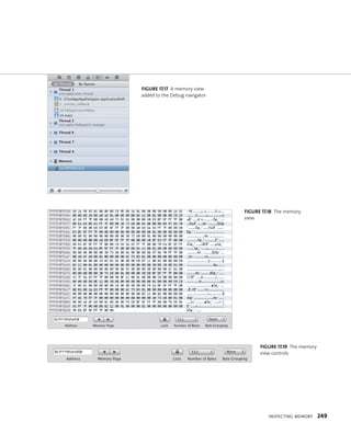 InspeCtIng memory 249 
fiGURe 17 17 A memory view 
added to the Debug navigator 
fiGURe 17 18 The memory 
view 
fiGURe 17 19 The memory 
view controls 
 