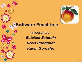Software Peachtree
Integrantes:
Estefani Esturain
Noris Rodríguez
Karen González
 