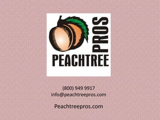 (800) 949 9917
info@peachtreepros.com
Peachtreepros.com
 
