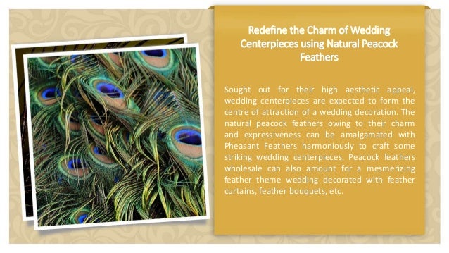 Peacock Feathers Diy Crafts