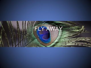 FLY AWAY
 