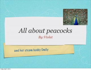 All about peacocks
                                              By:Violet


                        a n d h er steam b udd y Em il y




Friday, April 5, 2013
 