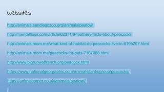 Websites
http://animals.sandiegozoo.org/animals/peafowl
http://mentalfloss.com/article/62371/9-feathery-facts-about-peacocks
http://animals.mom.me/what-kind-of-habitat-do-peacocks-live-in-6195267.html
http://animals.mom.me/peacocks-for-pets-7167088.html
http://www.bigrunwolfranch.org/peacock.html
https://www.nationalgeographic.com/animals/birds/group/peacocks/
https://animalcorner.co.uk/animals/peafowl/
 