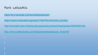 More Websites
https://a-z-animals.com/animals/peacock/
https://www.inaturalist.org/taxa/1199-Pavo/browse_photos
http://animals.mom.me/how-do-peacocks-protect-themselves-8016349.htm
http://www.softschools.com/facts/animals/peacock_facts/43/
 