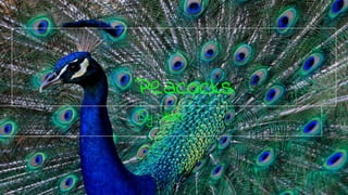 Peacocks
By Lillian
 